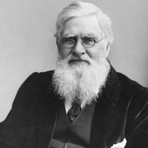 Alfred-Russel-Wallace