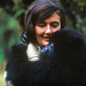 Dian Fossey