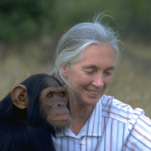 Jane Goodall